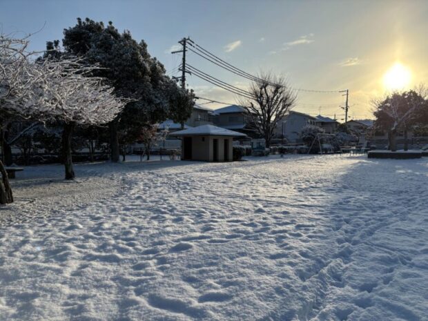 一年の振り返りと今後の展望